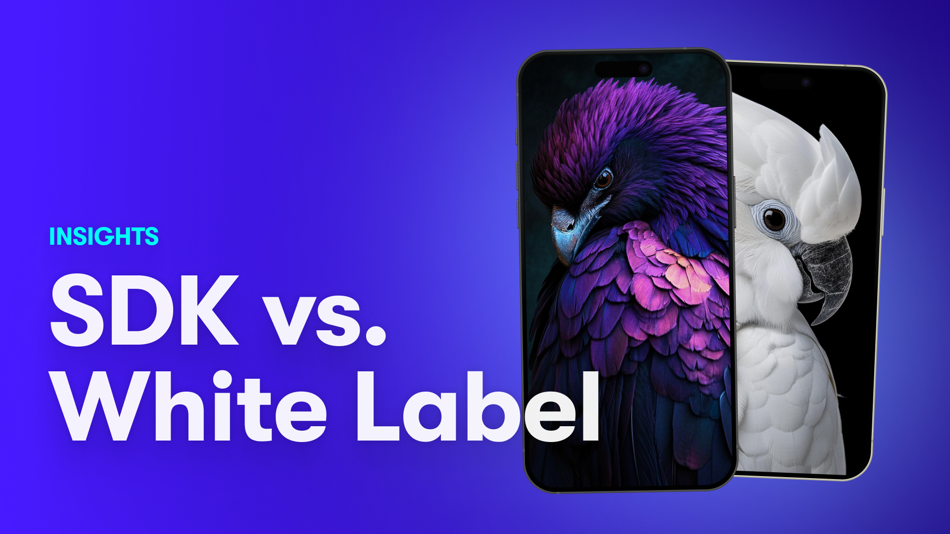 SDK vs. White Label: Consider These Differences When You Choose a Solution